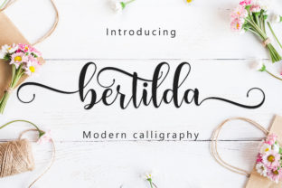 Bertilda Script: The Typeface That Elevates Brand Identity