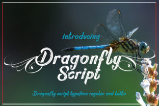 Dragonfly Script: A Handwritten Typeface for Branding