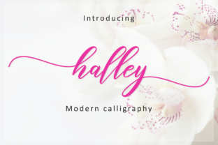 Halley Script: A Romantic Font for Modern Campaigns
