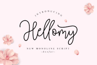 Hellomy Script: A Designer’s Honest Review