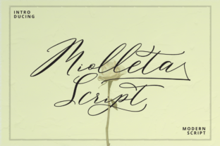 Miolleta Script: A Versatile Font for Crafters