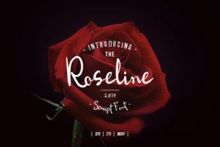Roseline Script: A Handwritten Font for Brand Growth