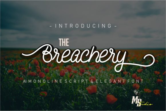 The Breachery Script: A Playful Typeface for Modern Brands